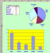 Grafici: Istogramma Torta.jpg (57239 byte)